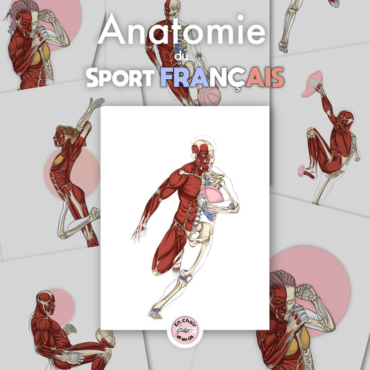 planche anatomique sportif