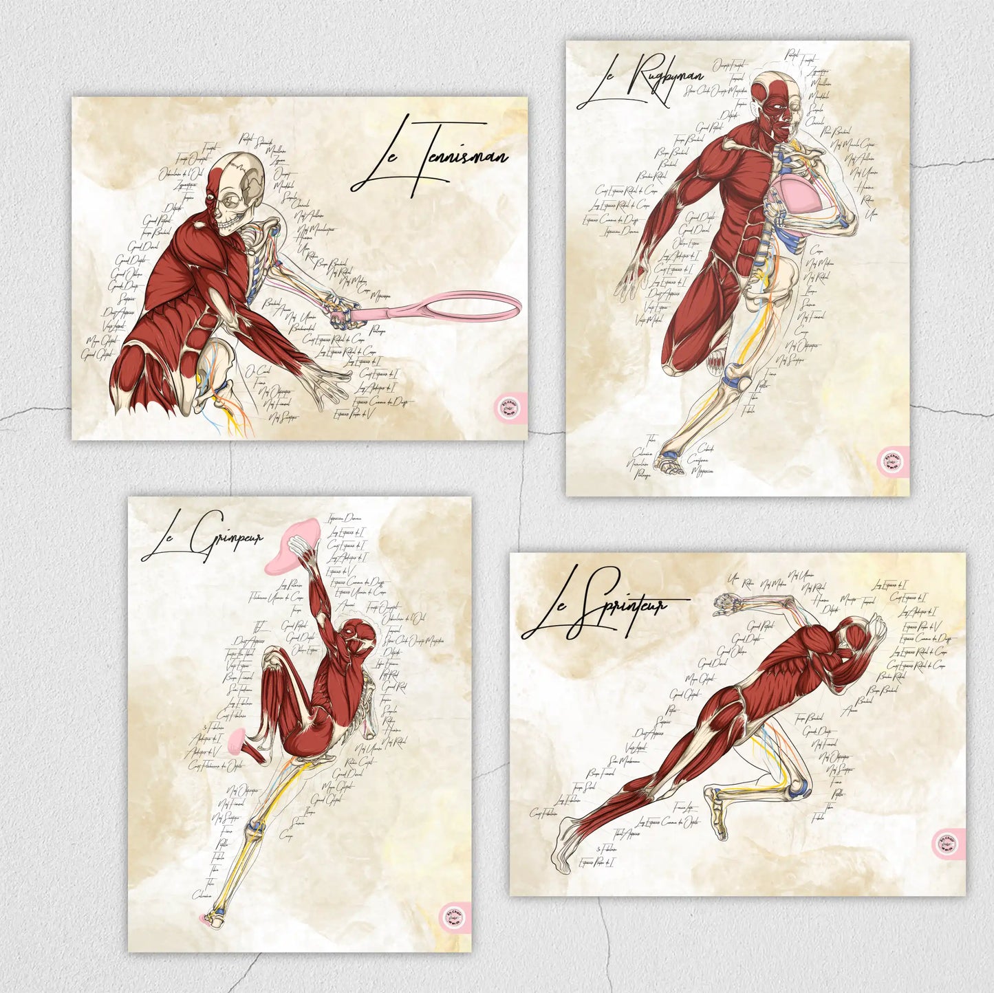 Lot de planches anatomiques du sport