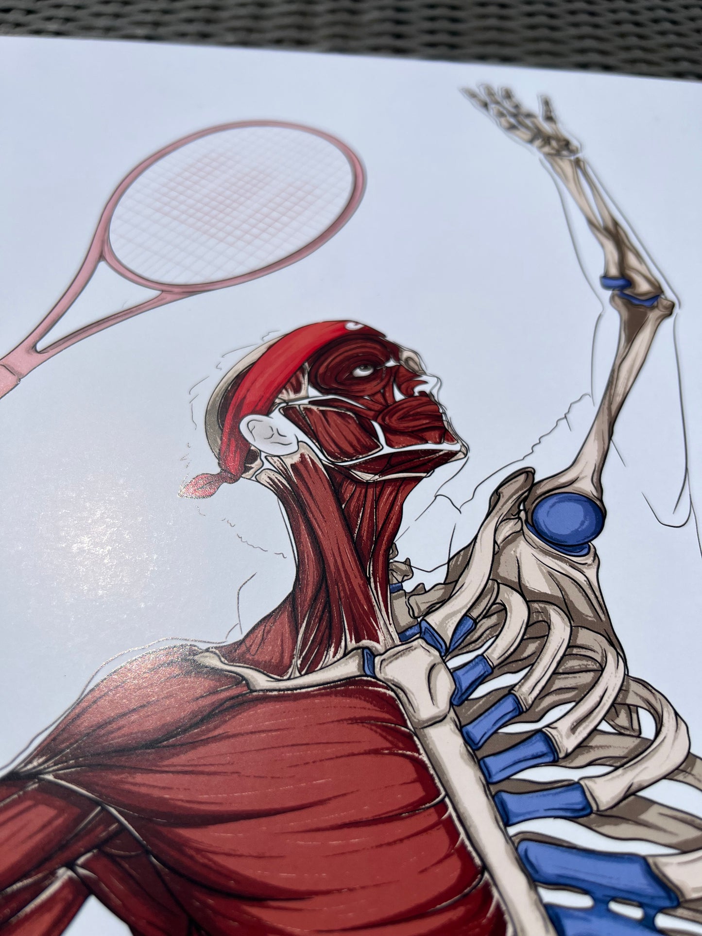 Écorché anatomique du tennisman - ÉDITION LIMITÉE