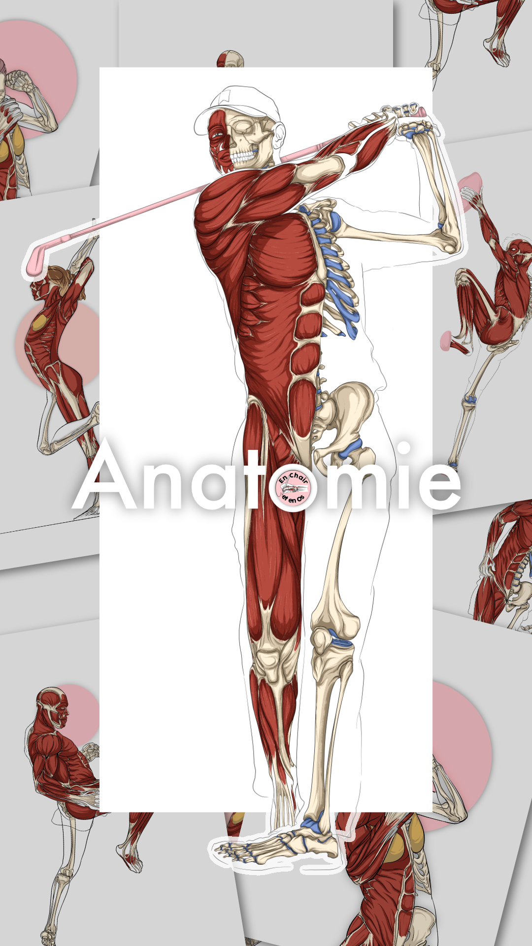 planche anatomique golf
