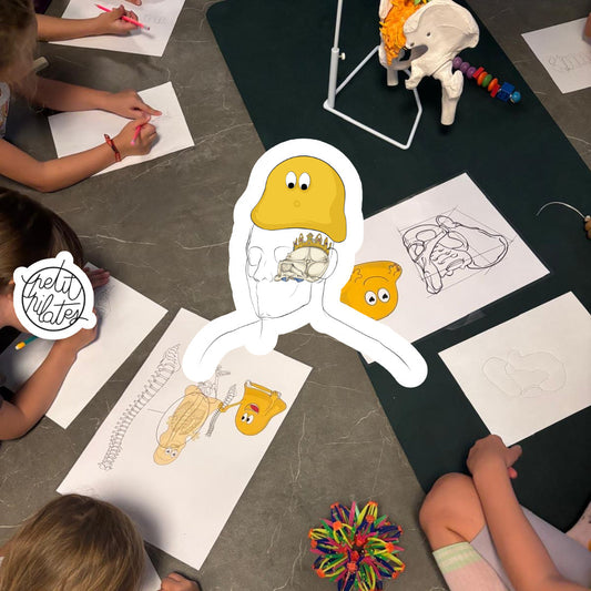 Planches anatomiques sur mesure du squelette humain dessinées à la main pour Petit Pilates par En Chair et en Os