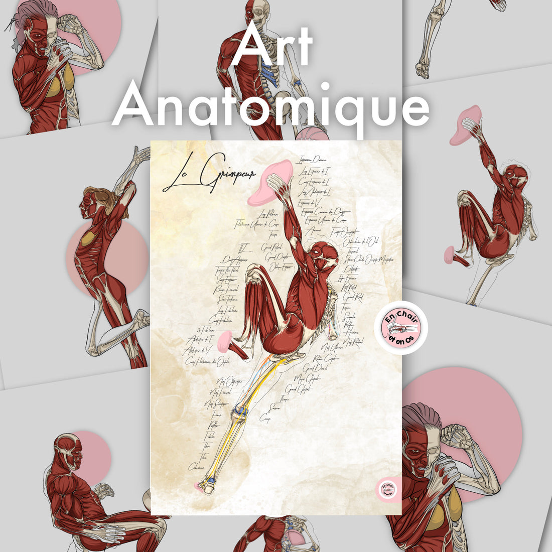art anatomique