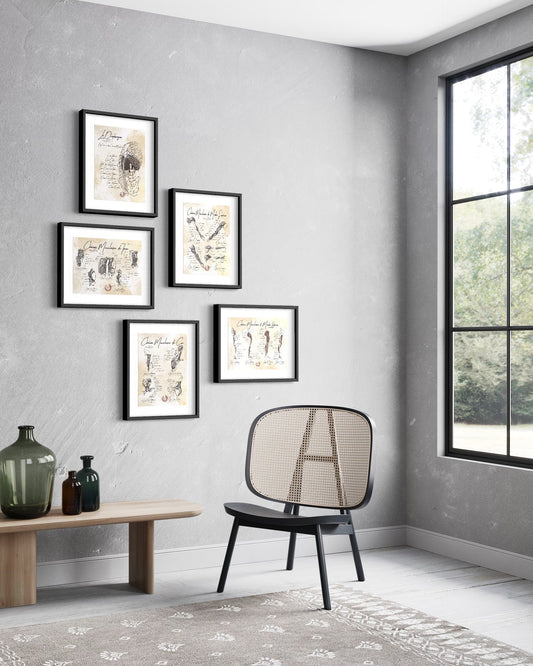 Salle d'attente médicale avec planches anatomiques murales et mobilier confortable