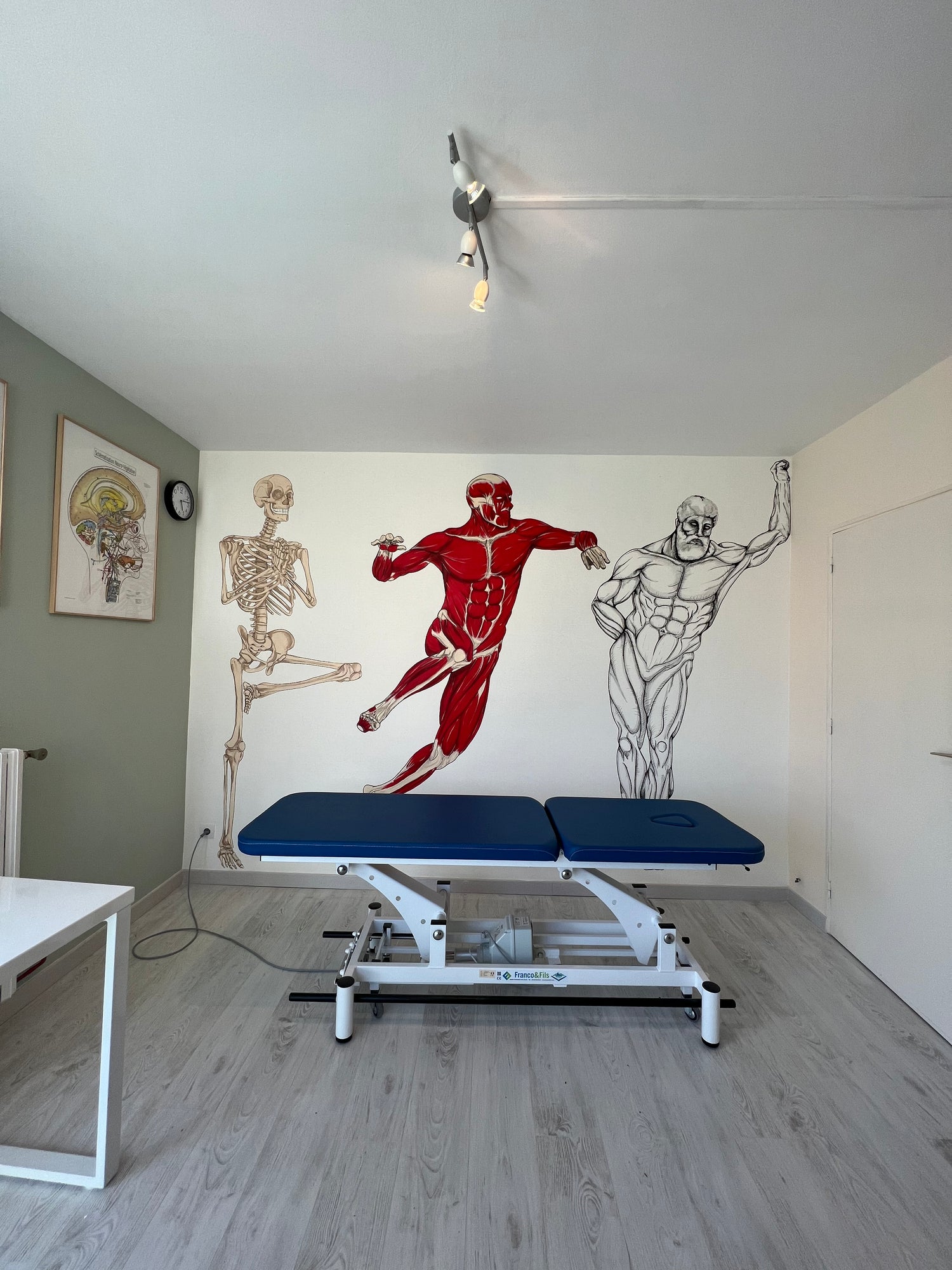 Fresque murale anatomie