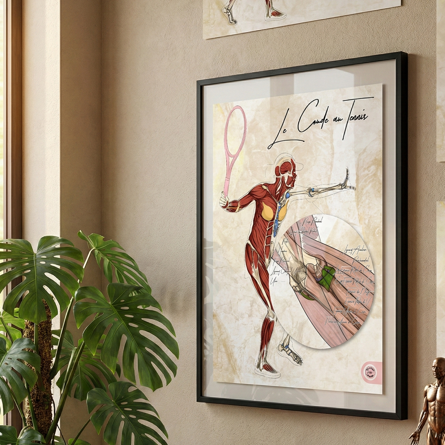 planche anatomique tennis muscles extenseur de l'avant bras 