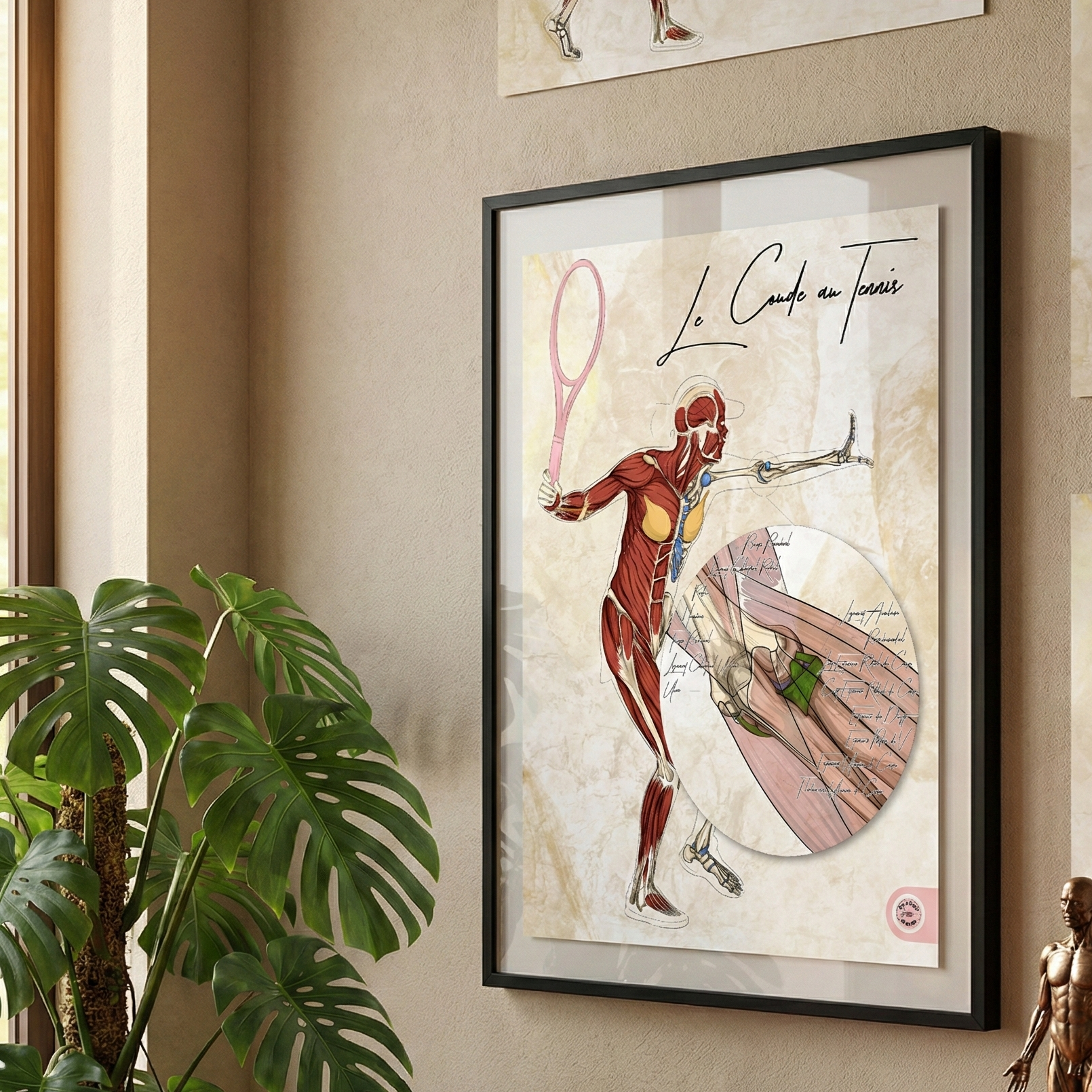 planche anatomique tennis muscles extenseur de l'avant bras 