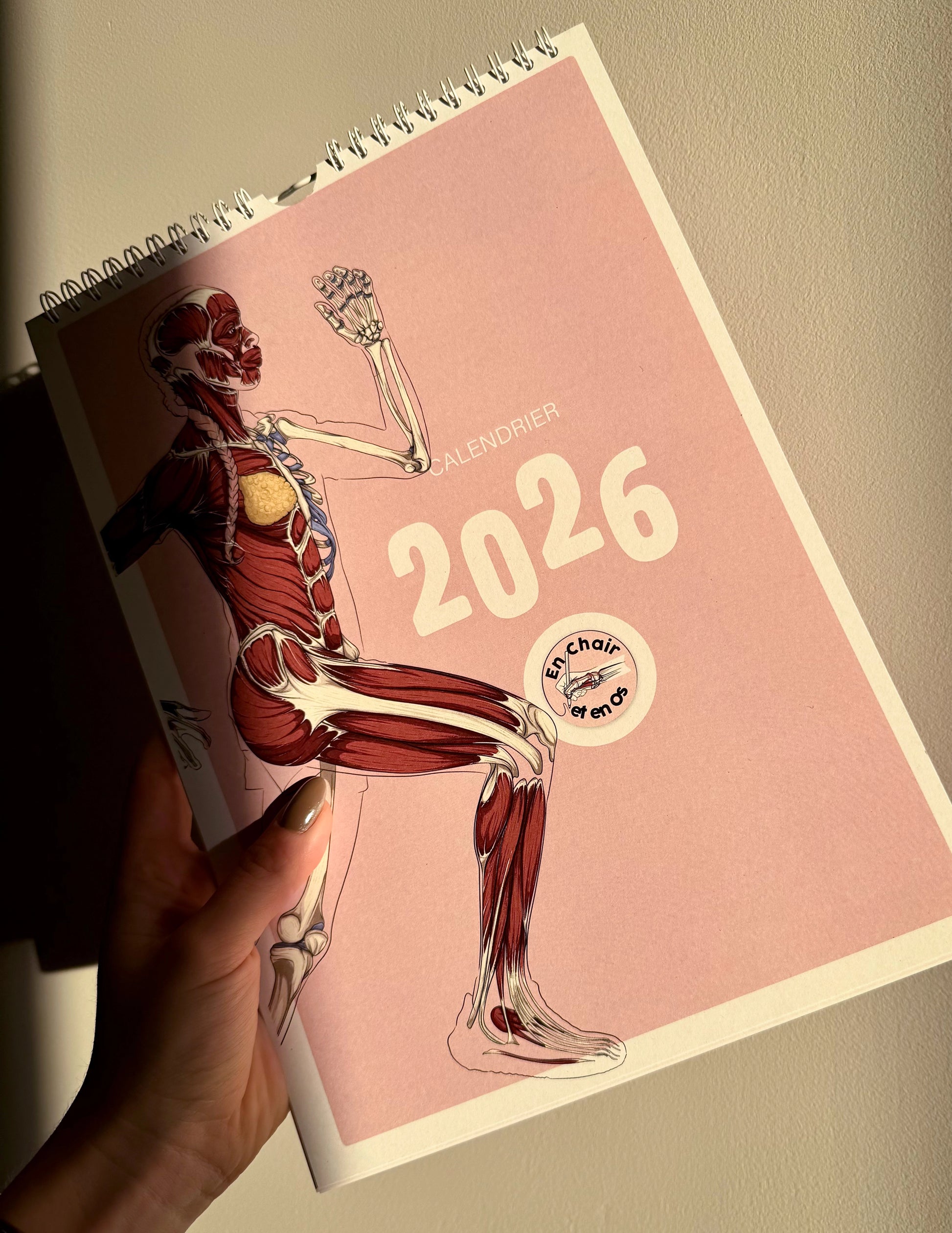 Calendrier Anatomie du sport en chair et en os