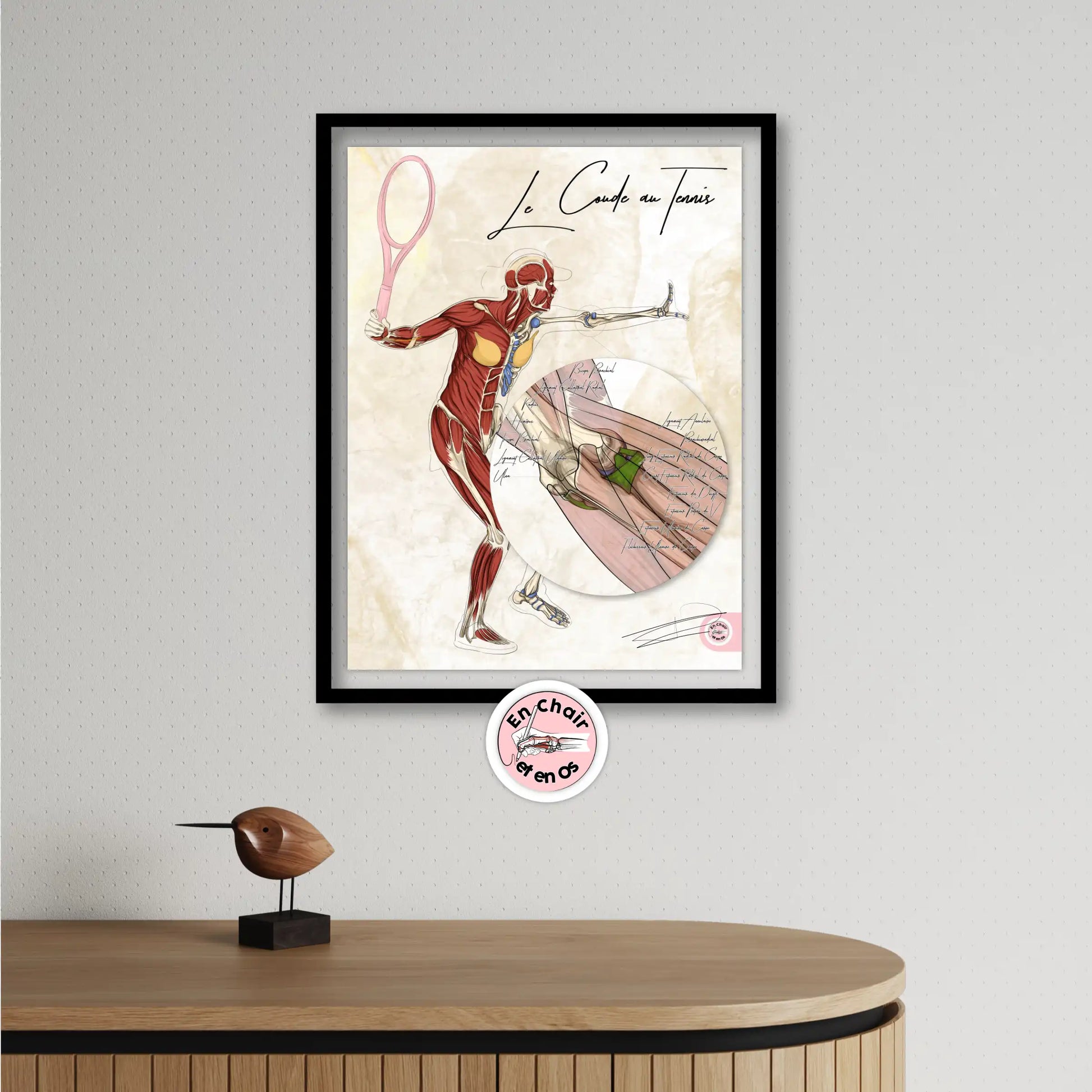 planche anatomique tennis muscles extenseur de l'avant bras 