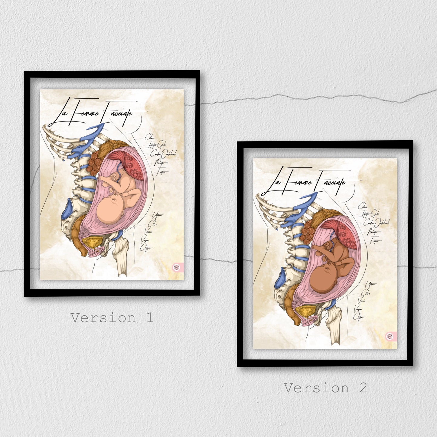 Anatomie de la femme enceinte En Chair et en Os