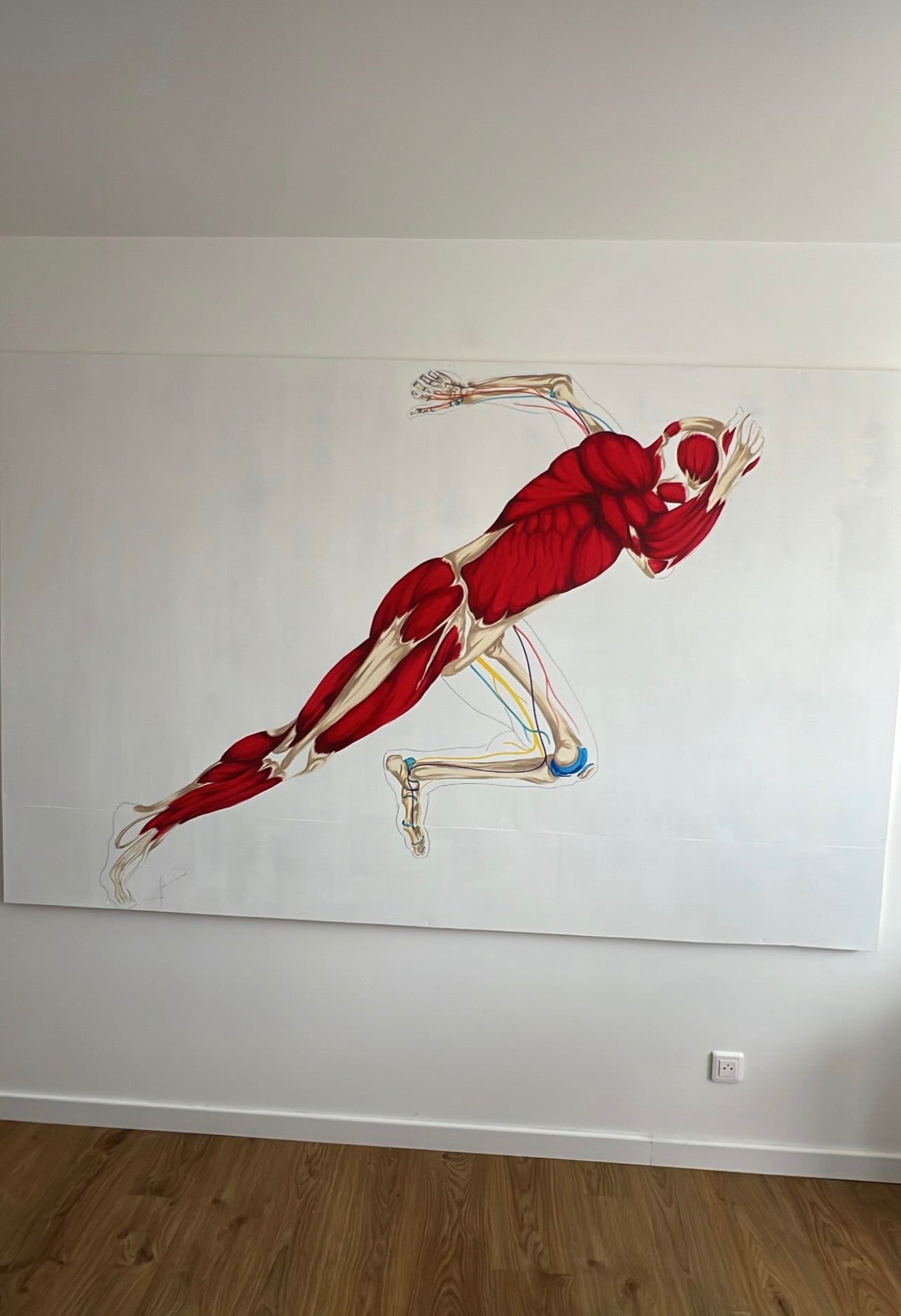 décoration cabinet en chair et en os