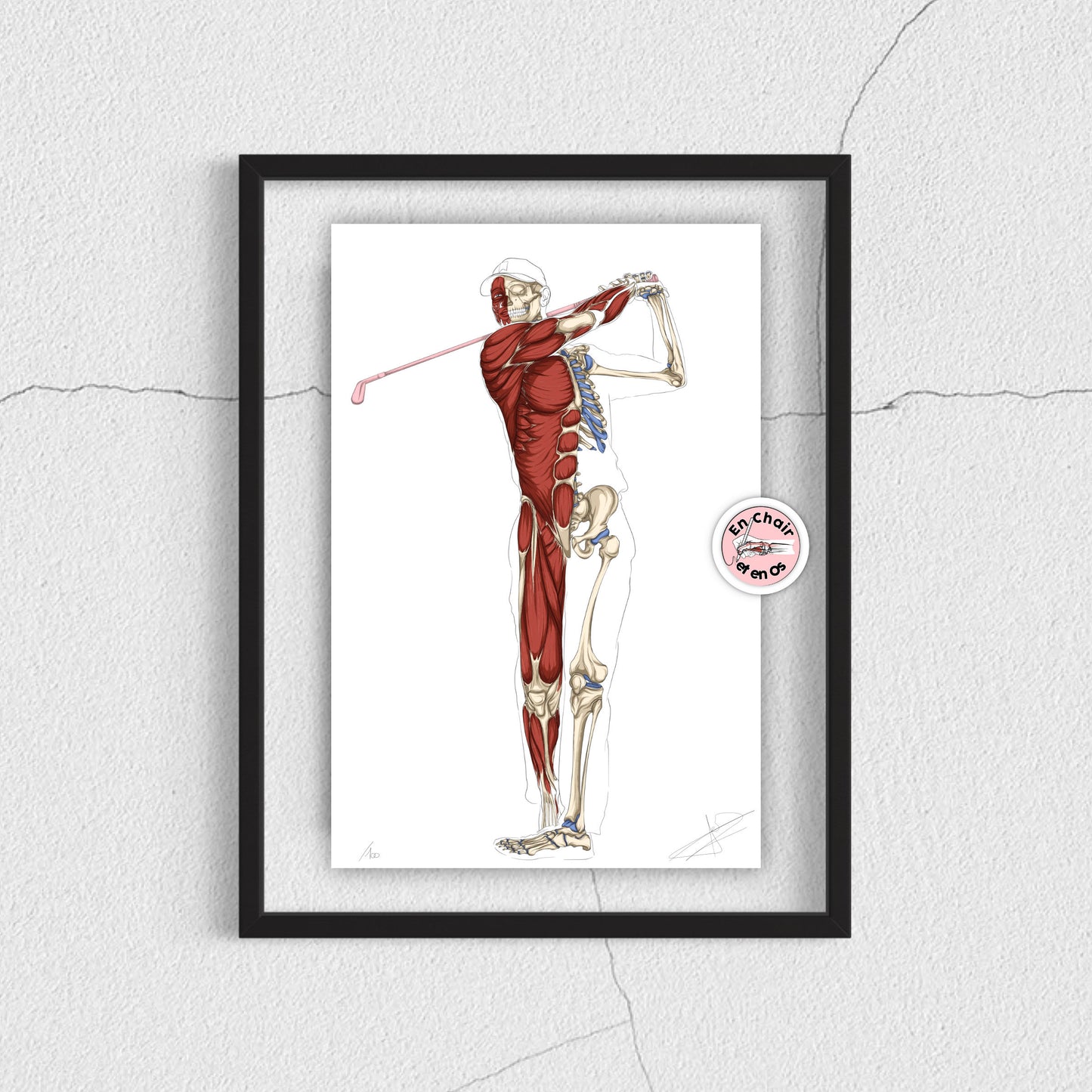 Planche anatomique golf