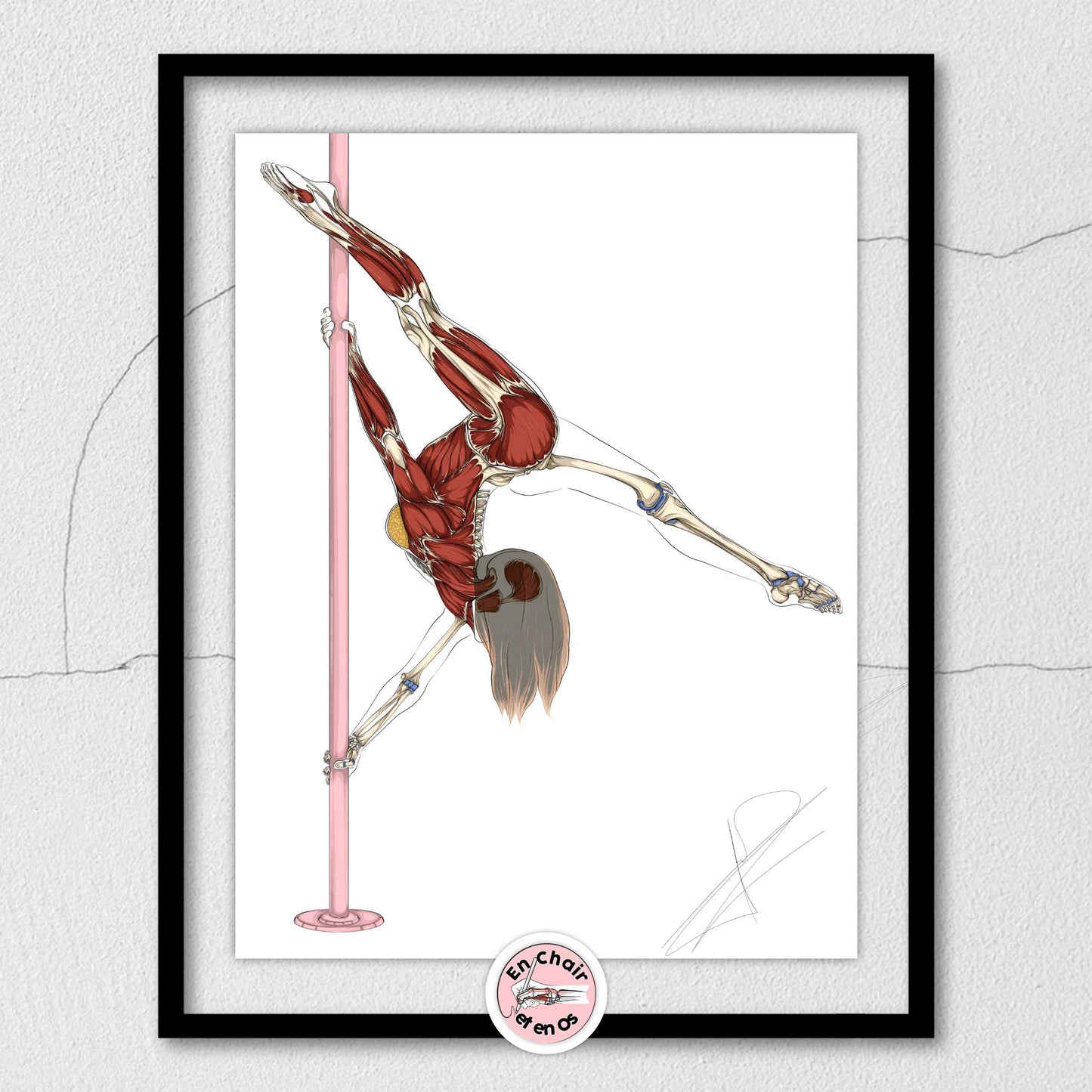Écorché anatomique du Pole Dance