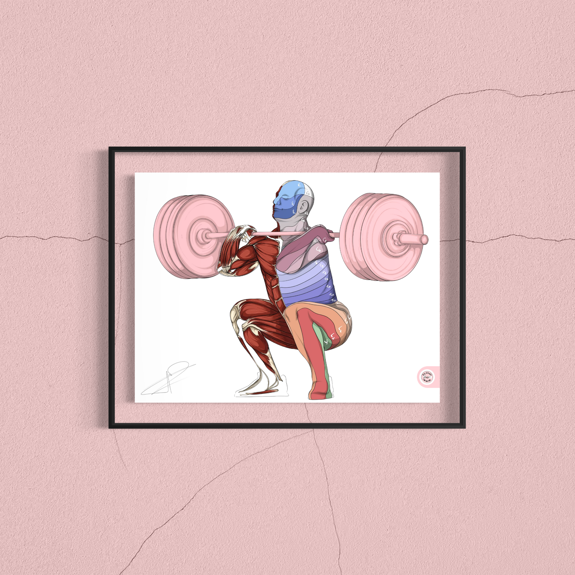 anatomie dermatome En Chair et en Os