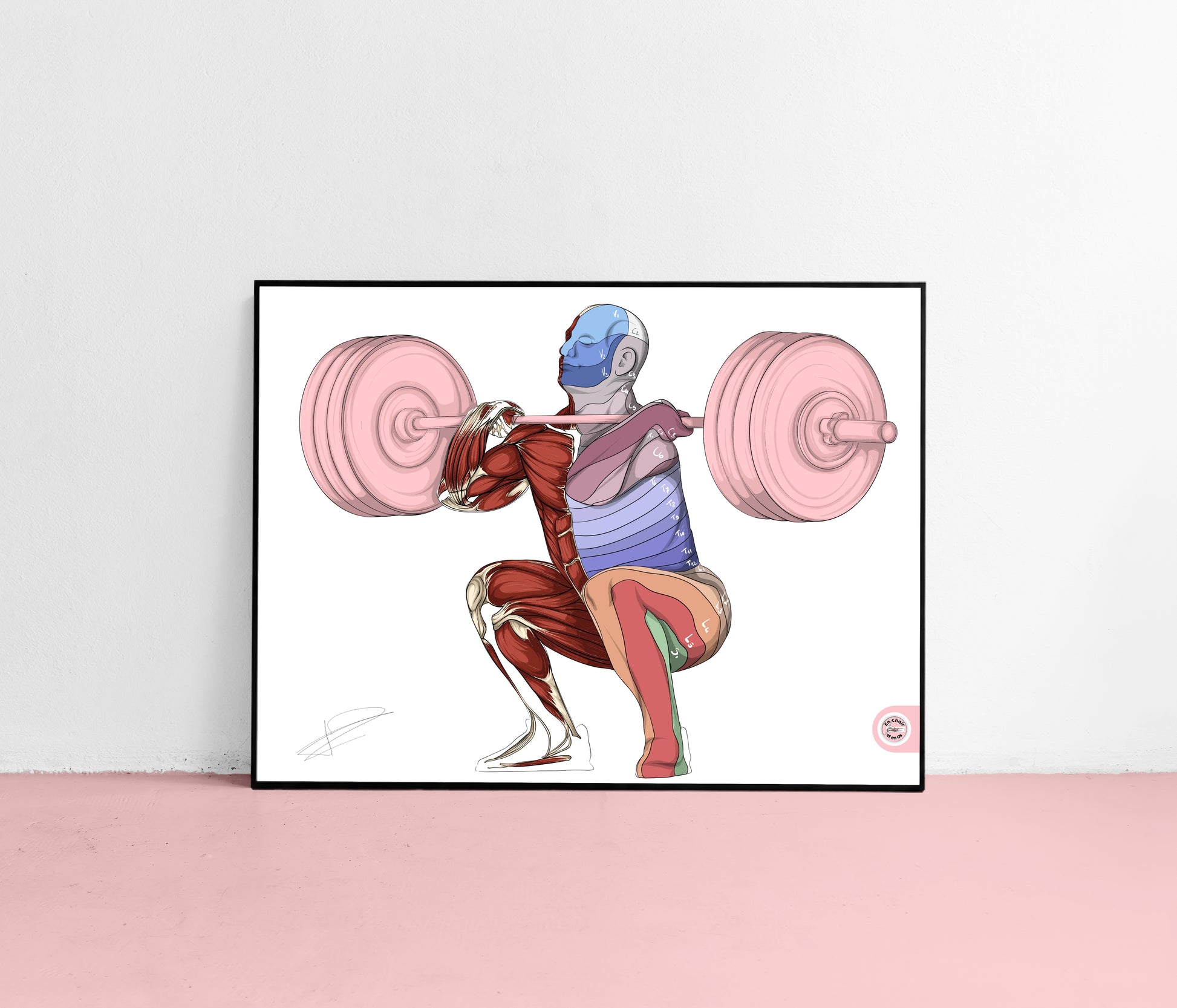 anatomie dermatome En Chair et en Os