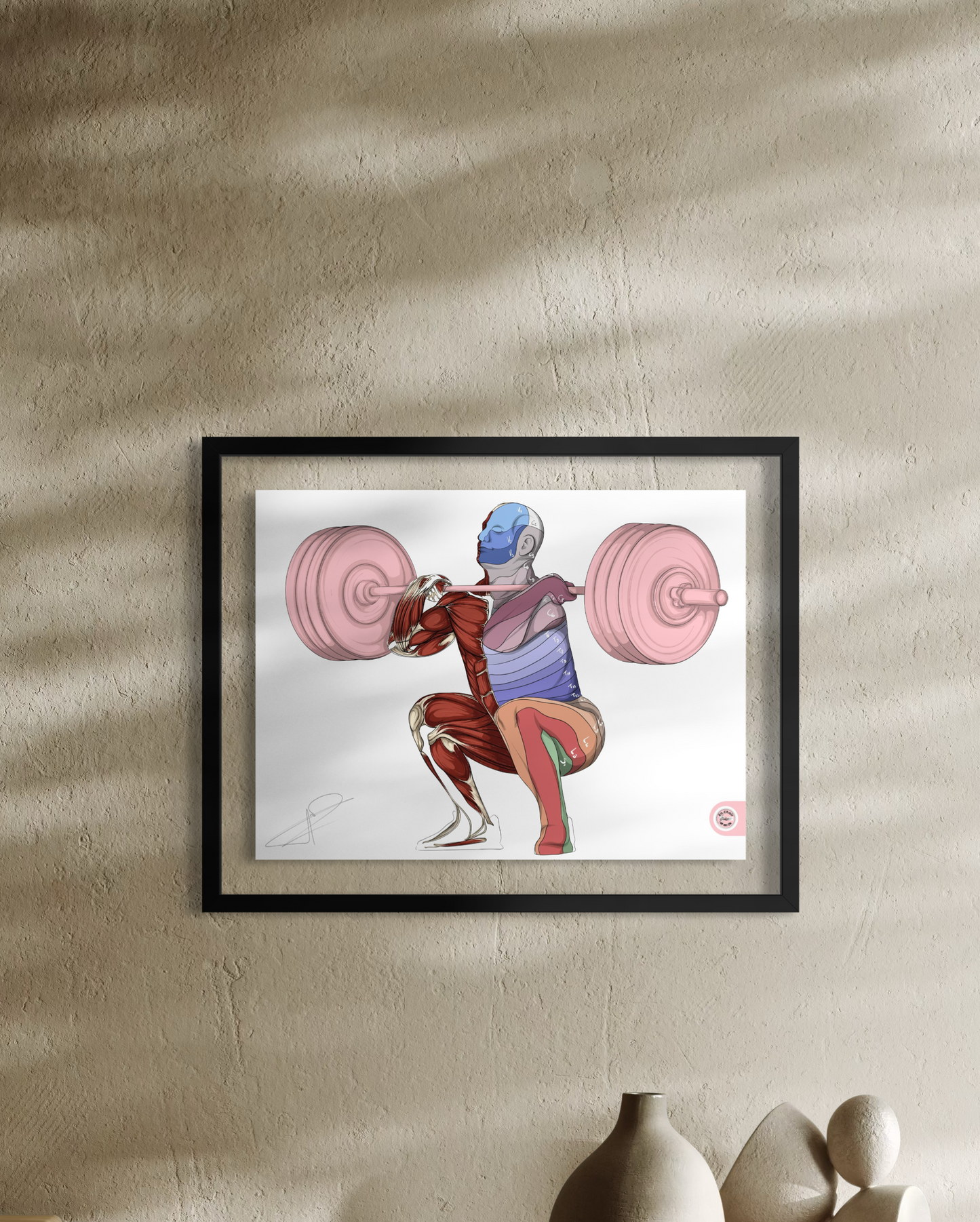 anatomie dermatome En Chair et en Os
