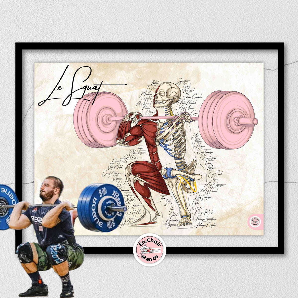 Planche anatomique du Power lifting En Chair et en Os décoration pour cabinet médical