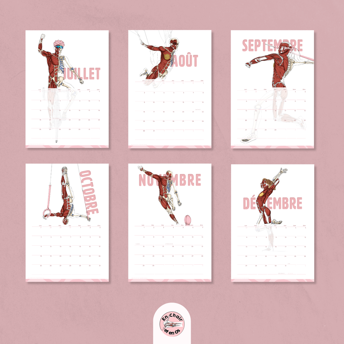Calendrier mural A3 2027 : écorchés de sportifs de juillet à décembre