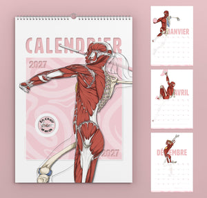 Calendrier anatomique 2027 En Chair et en Os, format mural A3, couverture et pages de janvier, avril et décembre
