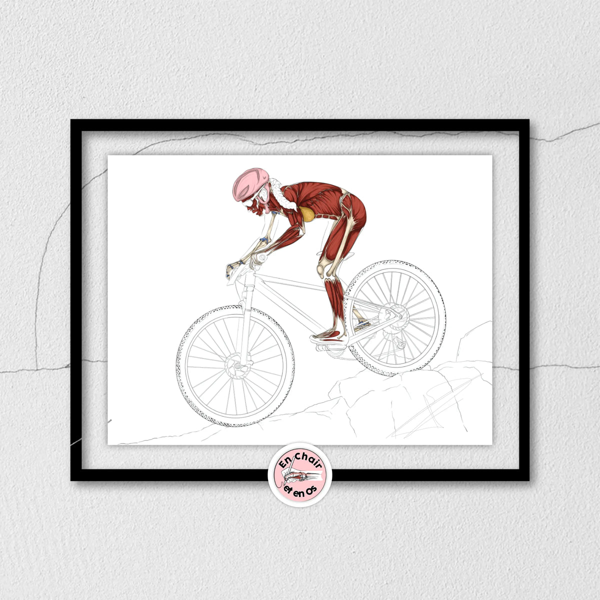 Planche anatomique du vélo tout terrain En Chair et en Os décoration pour cabinet médical