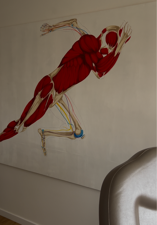 décoration cabinet en chair et en os