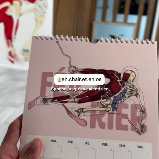 Décoration fresque murale anatomique cabinet physiothérapie Suisse