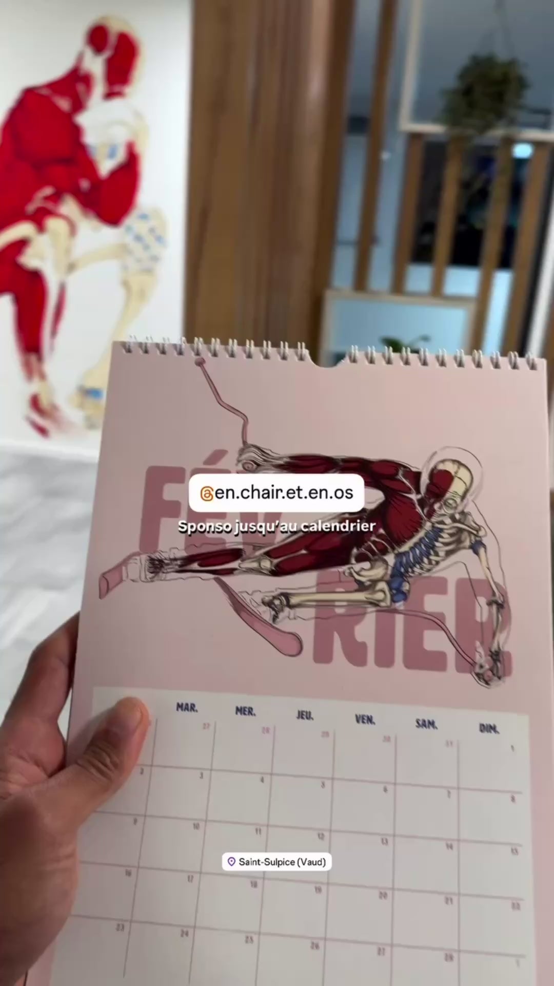 Décoration fresque murale anatomique cabinet physiothérapie Suisse