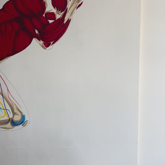 décoration cabinet podologie - anatomie du corps humain