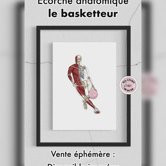 planche anatomique sport basket