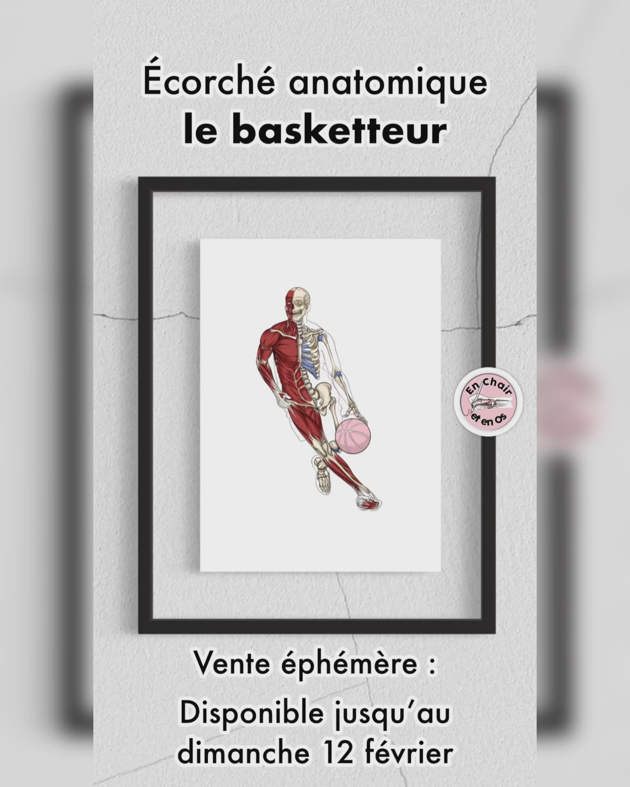 planche anatomique sport basket