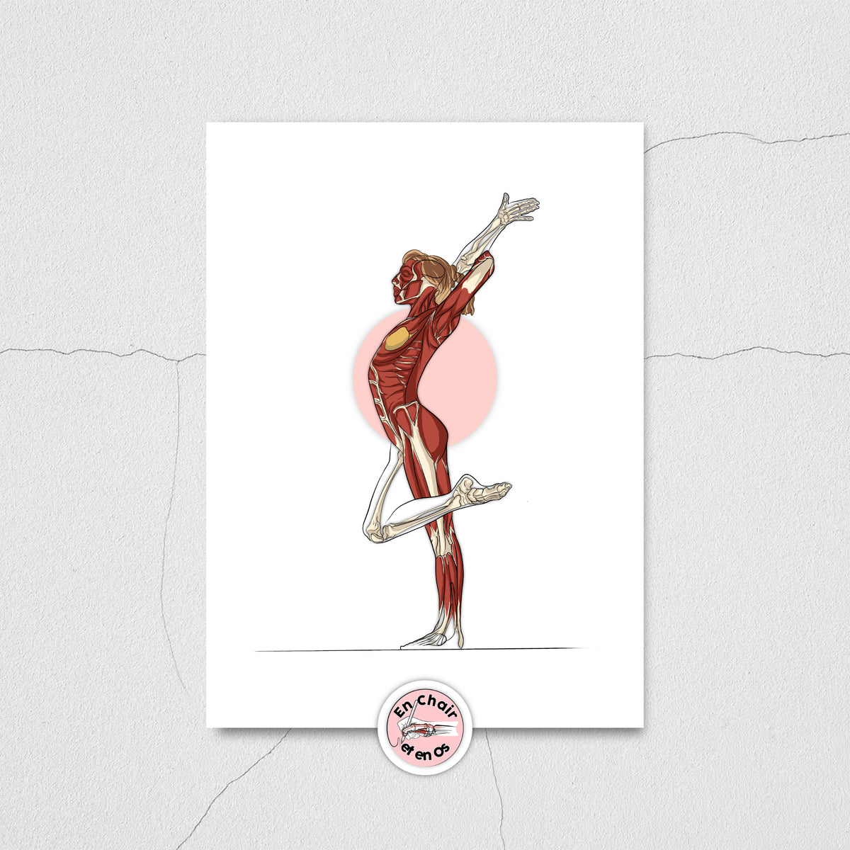 Planche anatomique de la gymnastique En Chair et en Os décoration pour cabinet médical